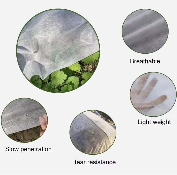 non woven for agriculture 3-_.jpg